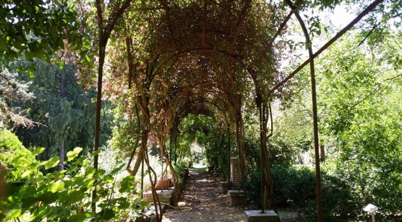 Orto Botanico dell'Università di Bari, Bari, Metropolitan City of Bari, Italy, Italy